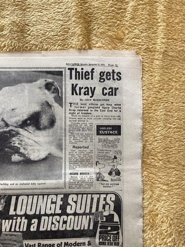 Thief steals kray - kray, twins