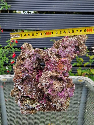 Tmc eco reef marine - tmc,