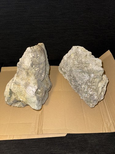 Dried reef rock large - dried,