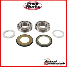 PIVOT WORKS STEERING BEARING