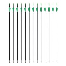 Fiberglass compound bow arrows - bow,