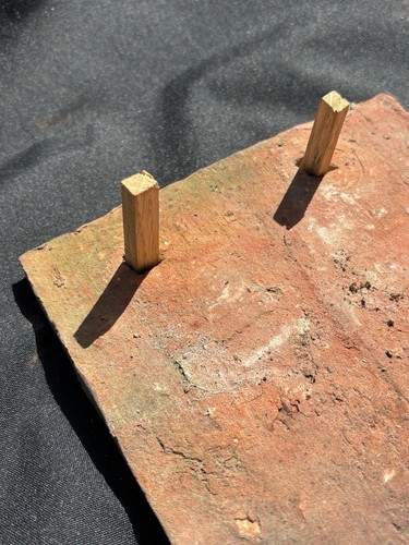1000 oak pegs - pegs, peg