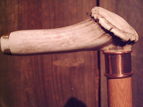 Deer antler handle - deer, walking