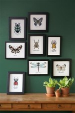 Vervaco Counted Cross Stitch Insects Butterfly Kits