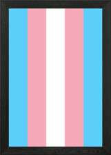 Transgender Pride Flag Framed
