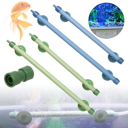 Bubble tube fish - fish, tank