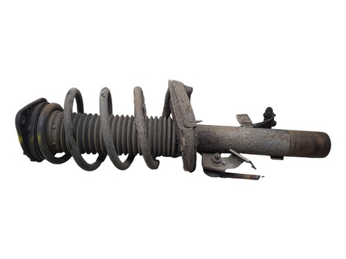 Ford focus strut shock - ford,