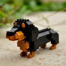 very cute dachshund/ sausage