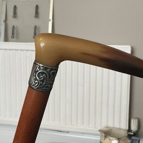 Victorian bovine horn m - horn,
