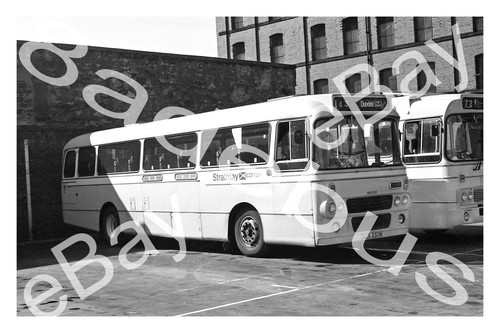 Bus photograph strathtay - bus,