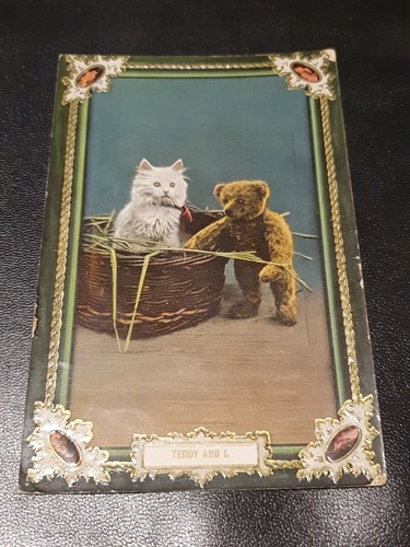 Teddy bear postcard and - teddy,