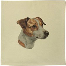 40cm jack russel - 40cm, 'jack