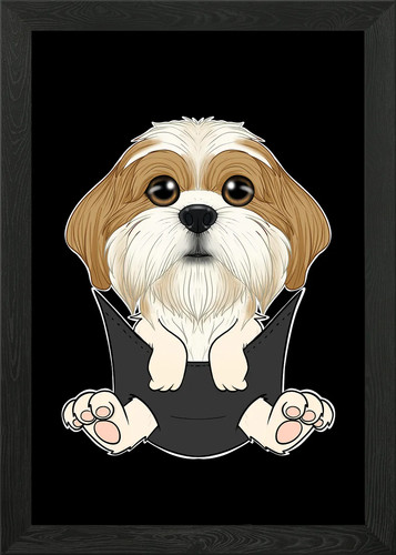 Shih tzu puppy pocket - shih, in