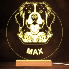 Newfoundland Dog Pet