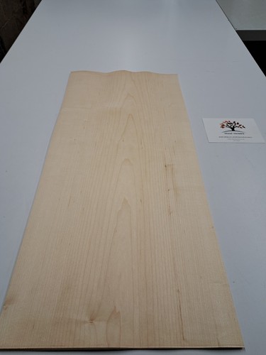 Maple veneer natural wood - maple,