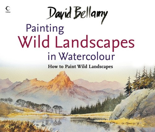 David bellamy painting - bellamy’s,