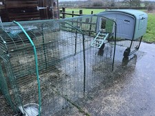 Omlet Eglu Cube Chicken Coop