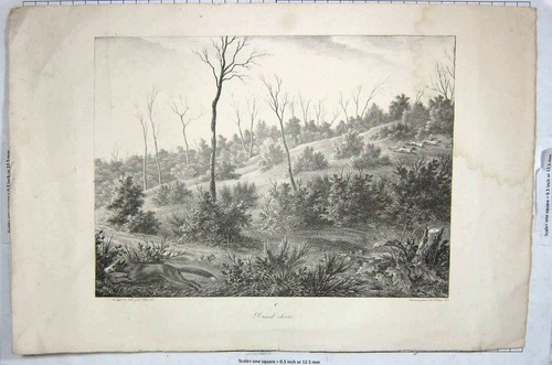 Original old antique - original, print