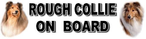 Rough collie board - rough,