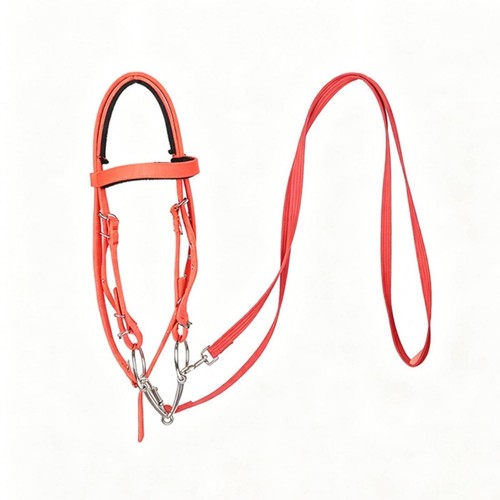 Equestrian split bridle - bridle, with