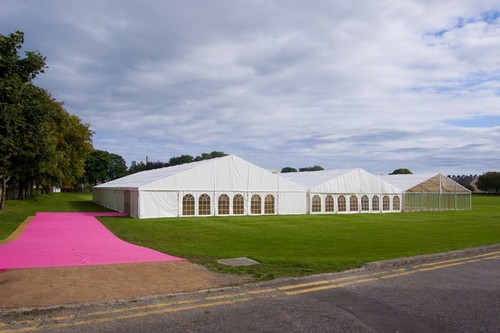 Photo 6x4 pink carpet - 6x4,