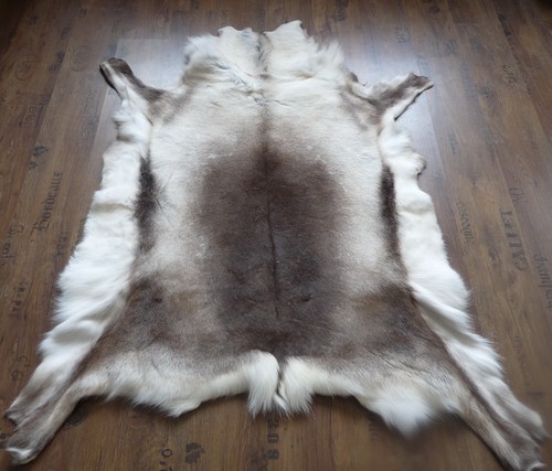 Reindeer fur - reindeer,