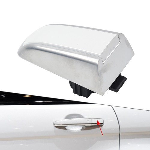 Rear door handle - handle, for