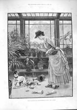 Original Old Antique Print 1887 Lady Green House Dog Pots Mess Watering Can