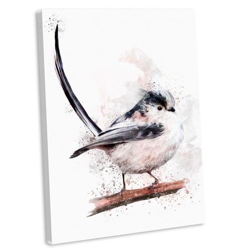 Long tailed tit watercolour - long,