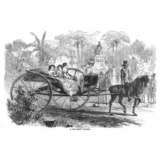 CUBA A Havanese Volante - Antique Print 1859
