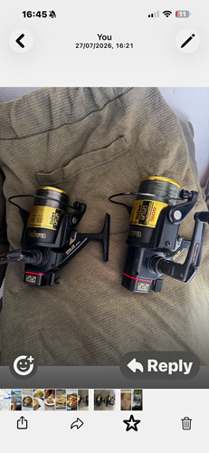 Daiwa tournament 1600 - gs, pair