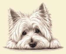 WEST HIGHLAND WHITE TERRIER