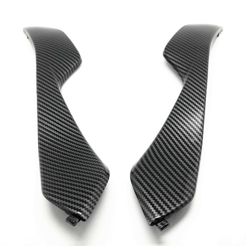 Carbon fiber gas tank side - 4x,