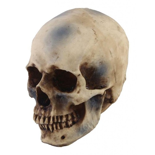 Life size resin - resin, human