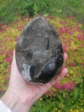 1.2kg Septarian Dragon Druzy
