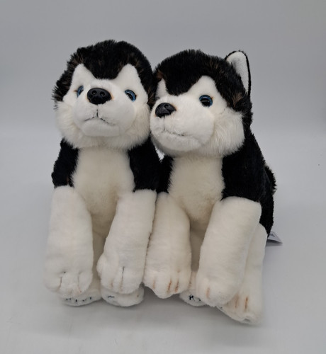 Pair official lapland - pair,
