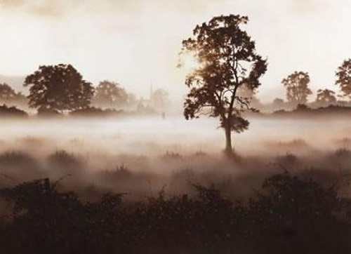 John waterhouse morning mist - john, 'morning