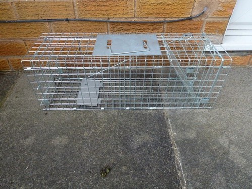 Rodent trap brand new - brand,
