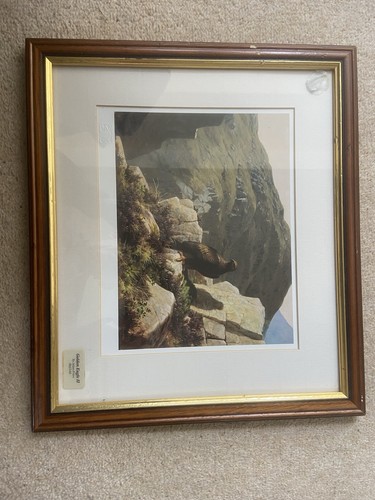 Julienne friers framed print - julienne,