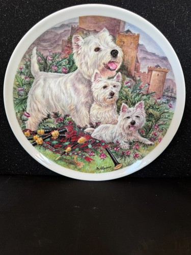 West highland white terrier - west,