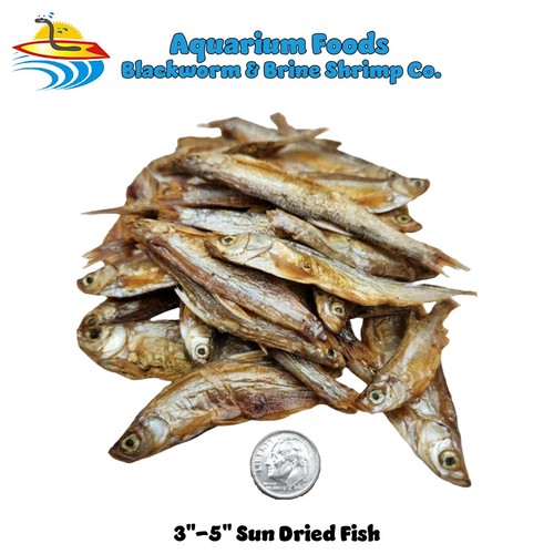 Sun dried river fish - 5",