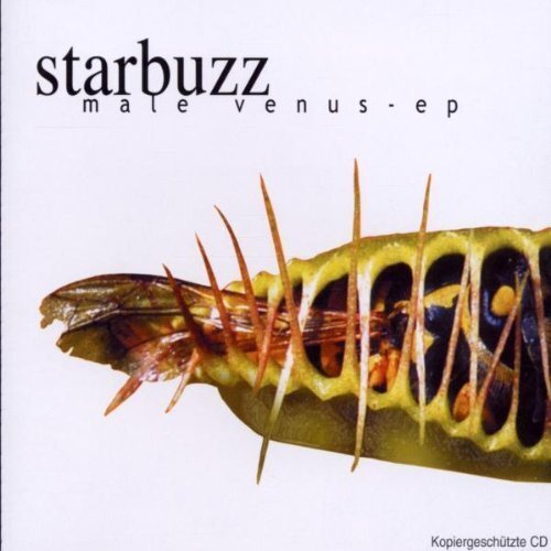 Starbuzz single male - |,