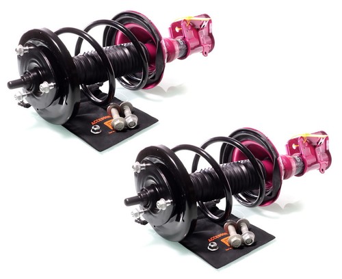 Complete struts assembly - 2x,