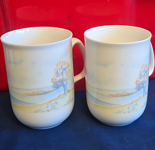 Staffordshire fine bone - bone, china