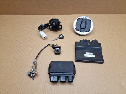 Kawasaki ninja 650 ecu - ninja,