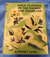 WILD FLOWERS OF THE WAYSIDE