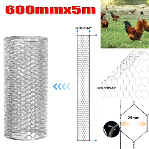 Wire mesh chicken - wire,