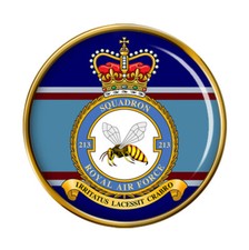 213 Squadron, RAF Pin Badge