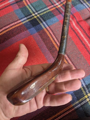 Unusual longnose hickory golf - unusual,
