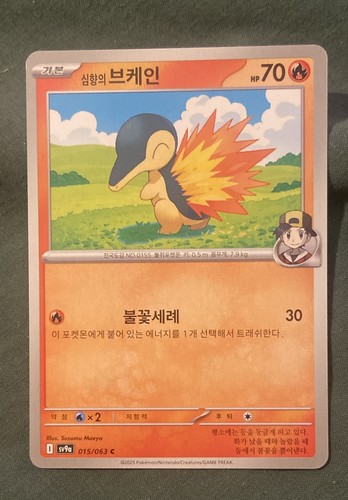 Ethan cyndaquil 015 - cyndaquil, 015/063